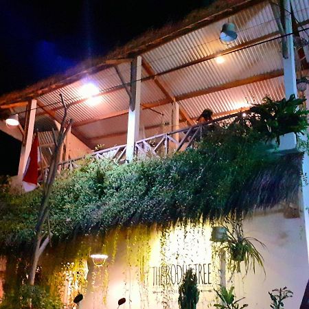 Hostel The Bodhi Tree Karimunjawa-Inseln Exterior foto