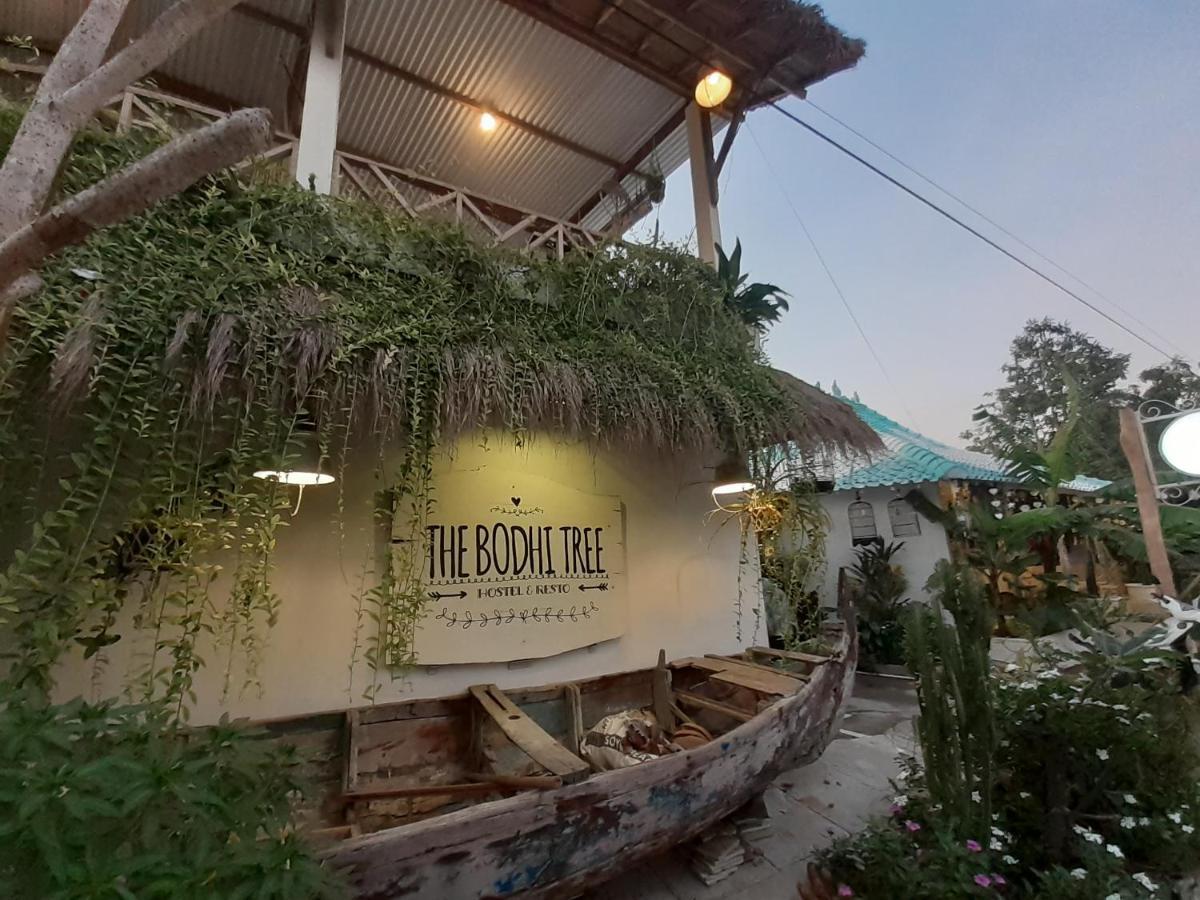 Hostel The Bodhi Tree Karimunjawa-Inseln Exterior foto